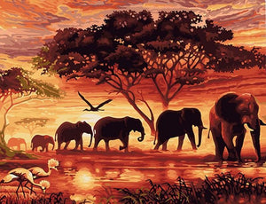 DIY Painting By Numbers - Elephants (16"x20" / 40x50cm) - Andredamart