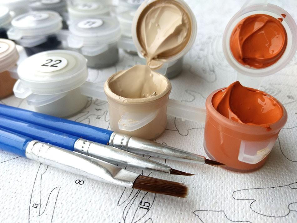 DIY Painting By Numbers - Colorful Lion (16"x20" / 40x50cm) - Andredamart