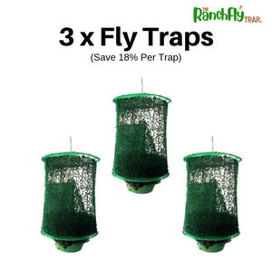 trap