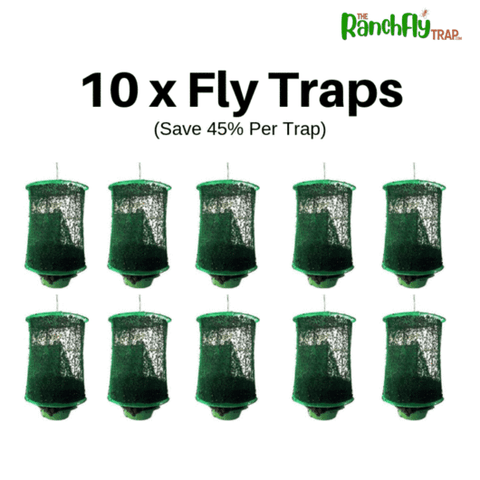 trap